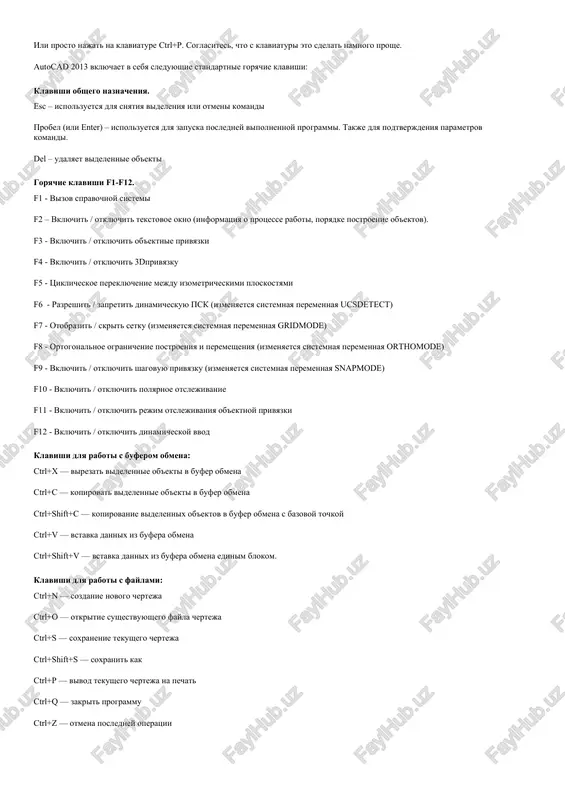 autocad 2013 — DOC