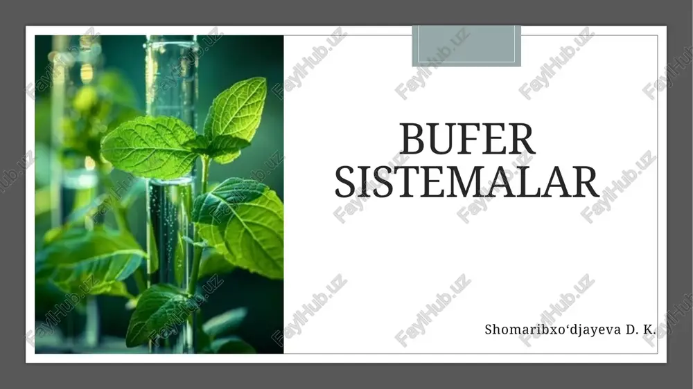 bufersistemalar — PPTX
