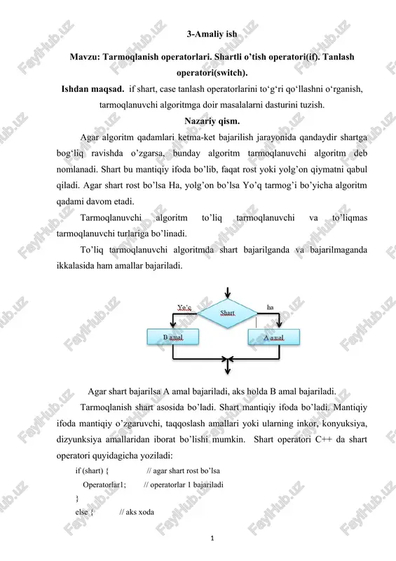 tarmoqlanish operatorlari — DOCX
