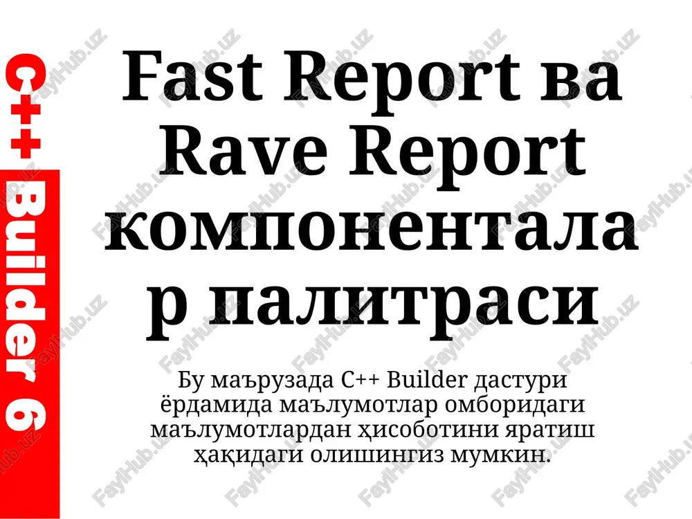 fastreport va rave report komponentalar palitrasi — PPTX