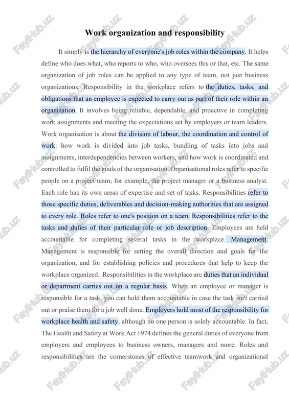 work organization and responsibility — DOCX