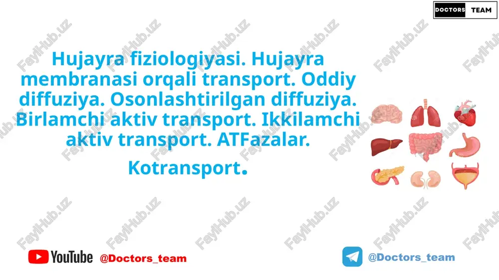 hujayra fiziologiyasi — PPTX