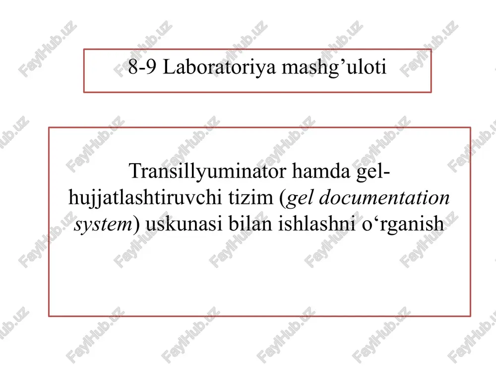 transillyuminator hamda gel-hujjatlashtiruvchi tizim (gel documentation system) — PPTX