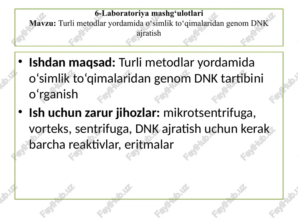 laboratoriya mashg‘ulotlari — PPTX