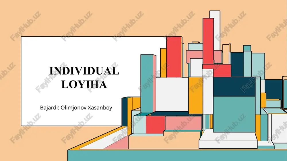 individual loyiha — PPTX