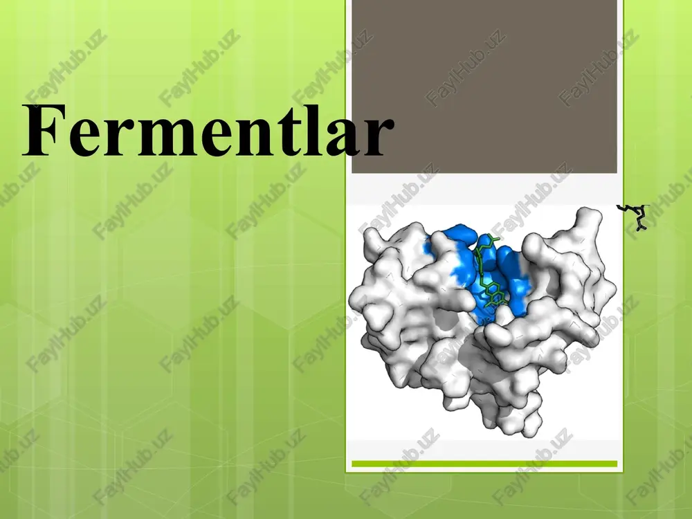 fermentlar — PPTX