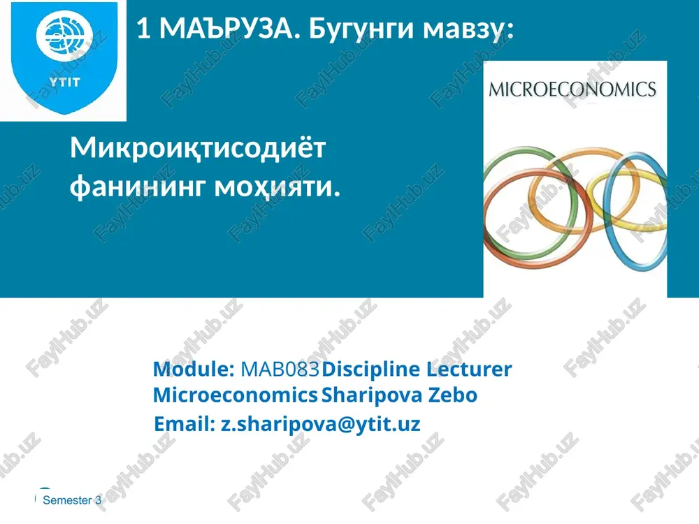 microeconomics — PPTX