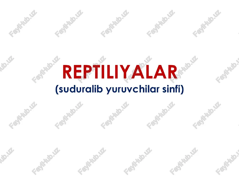 reptiliyalar — PPTX
