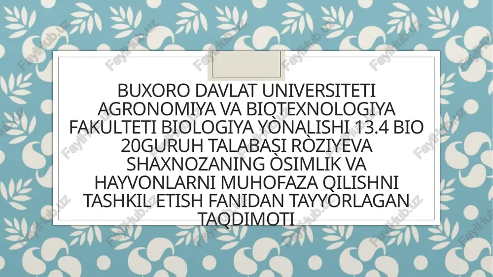 chilonjiydadoshlar oilasi — PPTX
