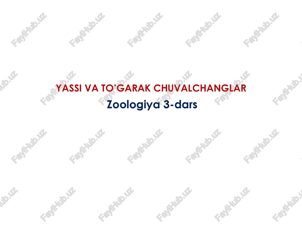 yassi va to’garak chuvalchanglar — PPTX