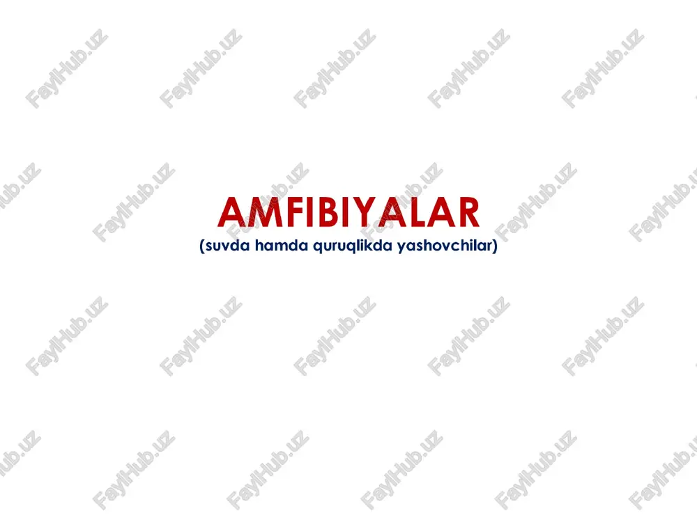 amfibiyalar — PPTX