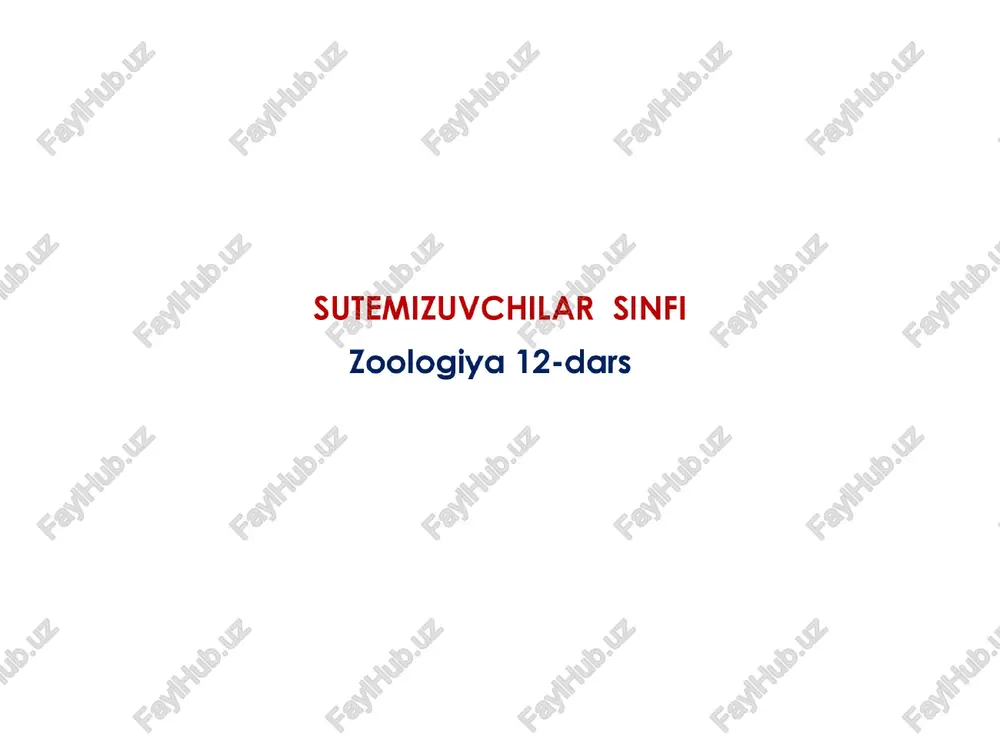 sutemizuvchilar sinfi — PPTX