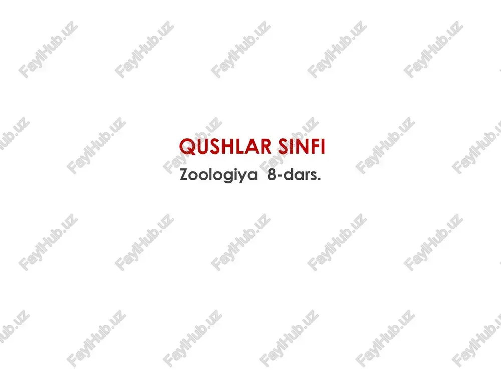 qushlar sinfi — PPTX