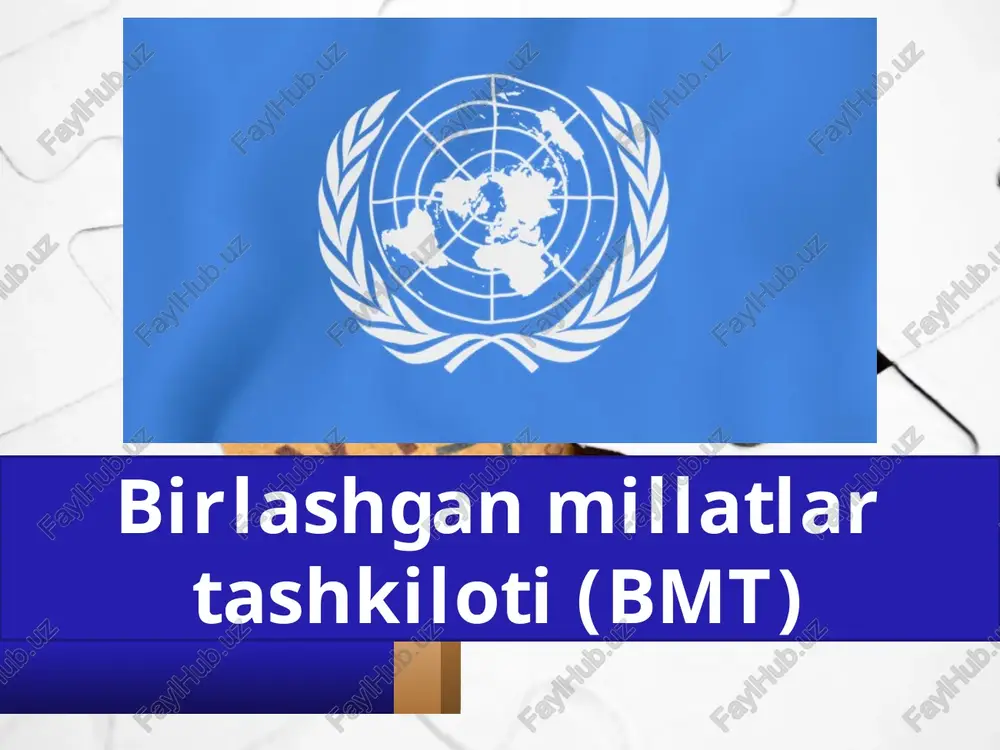 birlashgan millatlar tashkiloti (bmt) — PPTX