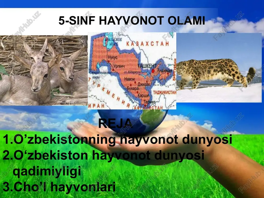 5-sinf hayvonot olami — PPTX