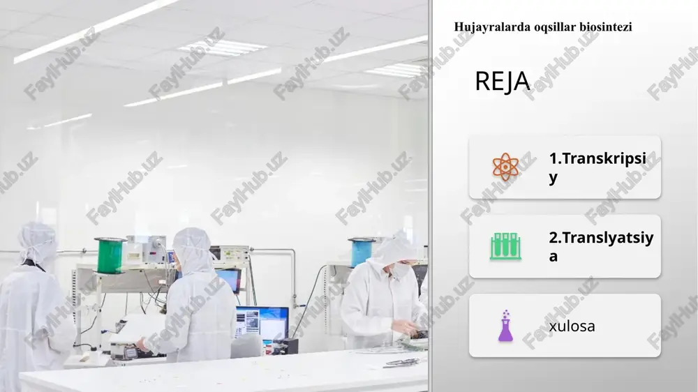 hujayralarda oqsillar biosintezi — PPTX