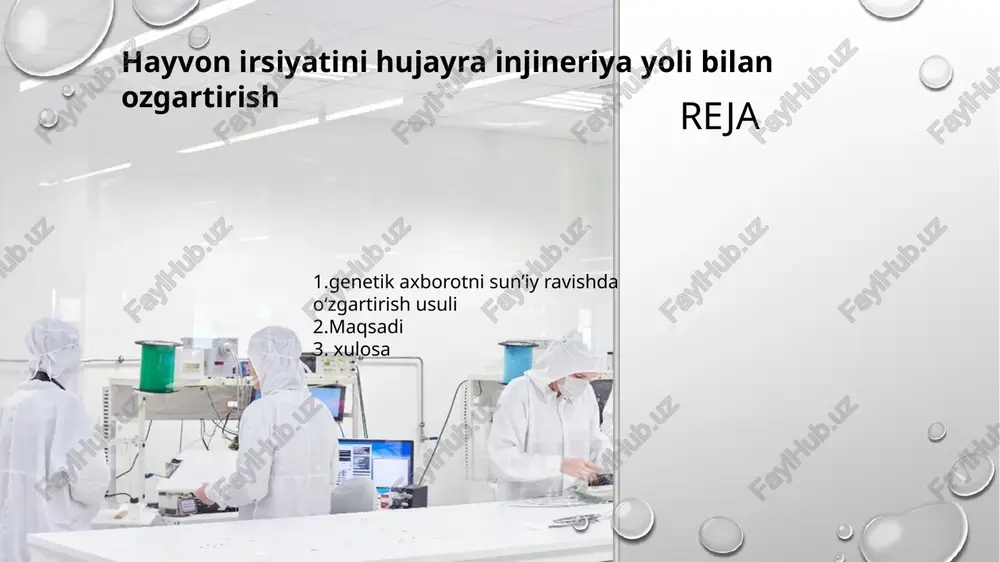 hayvon irsiyatini hujayra injineriya yoli bilan ozgartirish — PPTX