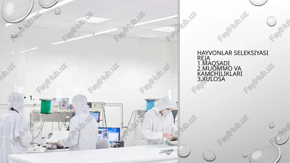 hayvonlar seleksiyasi — PPTX