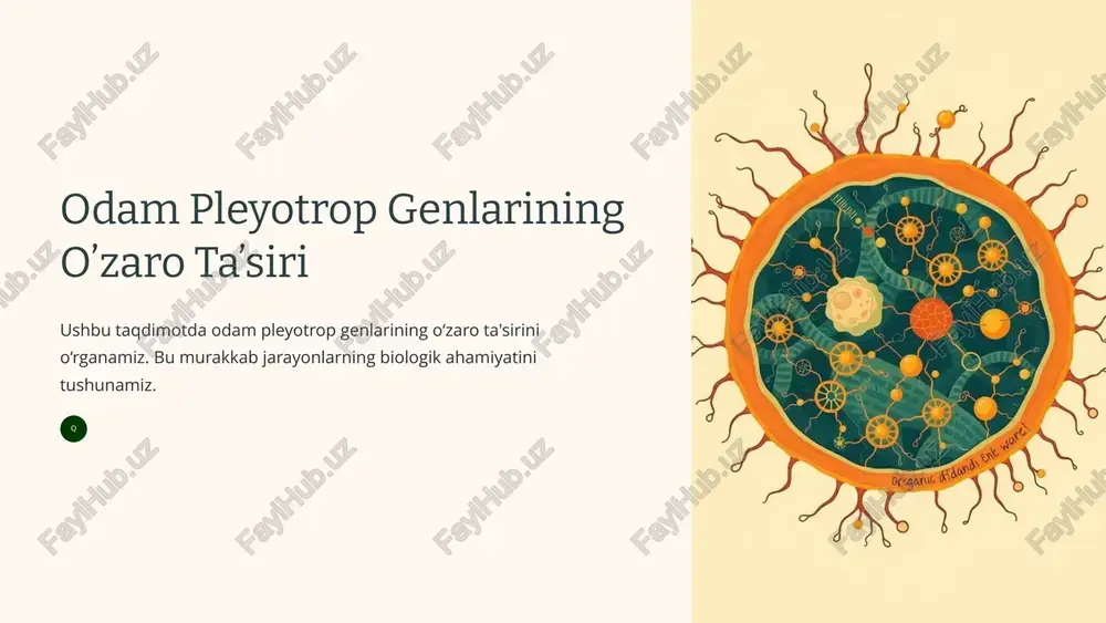 odam pleyotrop genlarining o’zaro ta’siri — PPTX