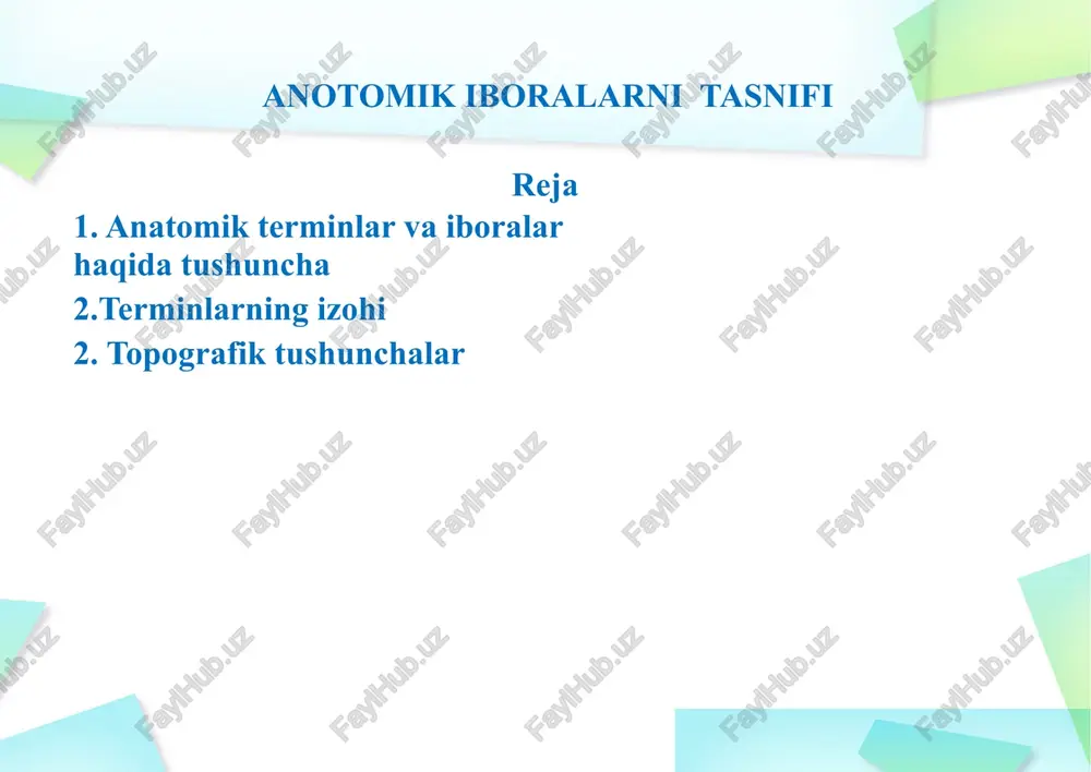 anotomik iboralarni tasnifi — PPTX