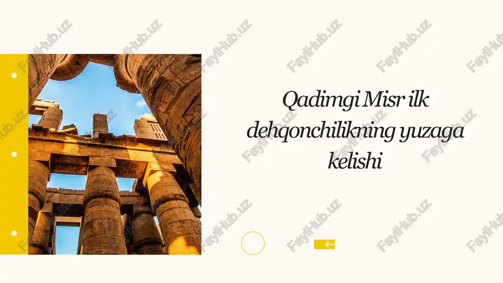qadimgi misr ilk dehqonchilikning yuzaga kelishi — PPTX