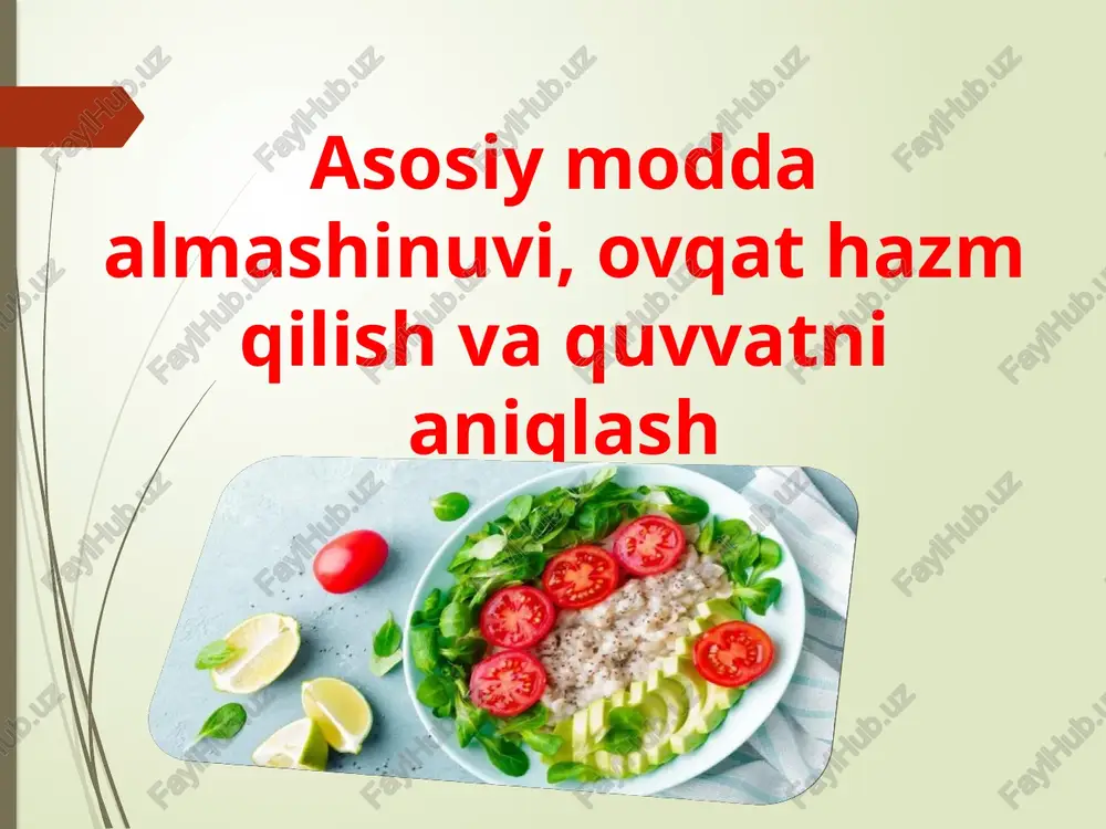 asosiy modda almashinuvi, ovqat hazm qilish va quvvatni aniqlash — PPTX