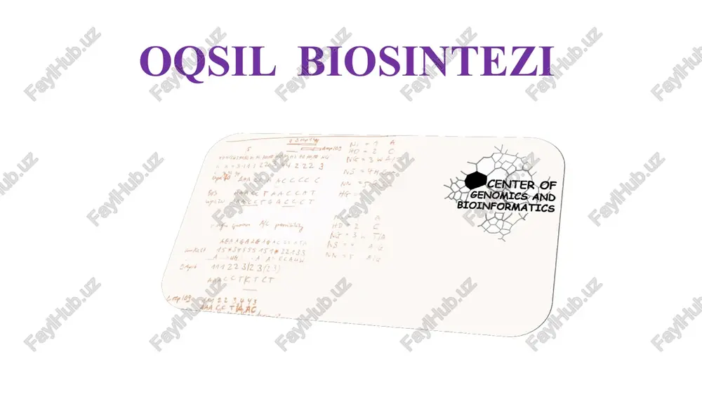 oqsil biosintezi — PPTX