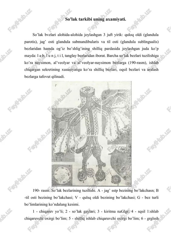 quloq oldi bezi — DOCX
