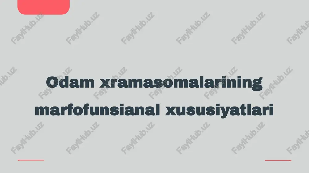 odamxramasomalarining marfofunsianal xususiyatlari — PPTX