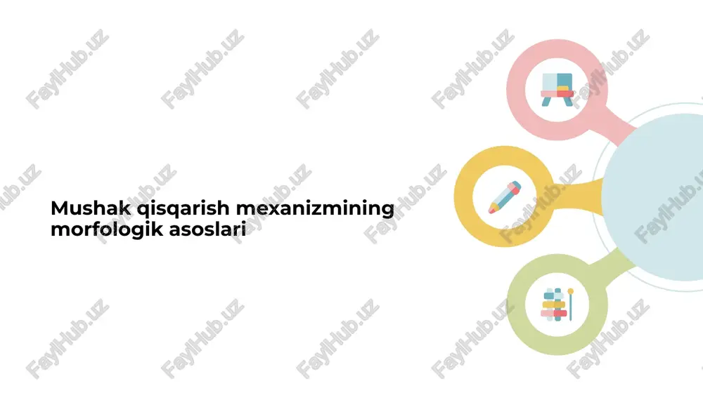 mushak qisqarish mexanizmining morfologik asoslari — PPTX
