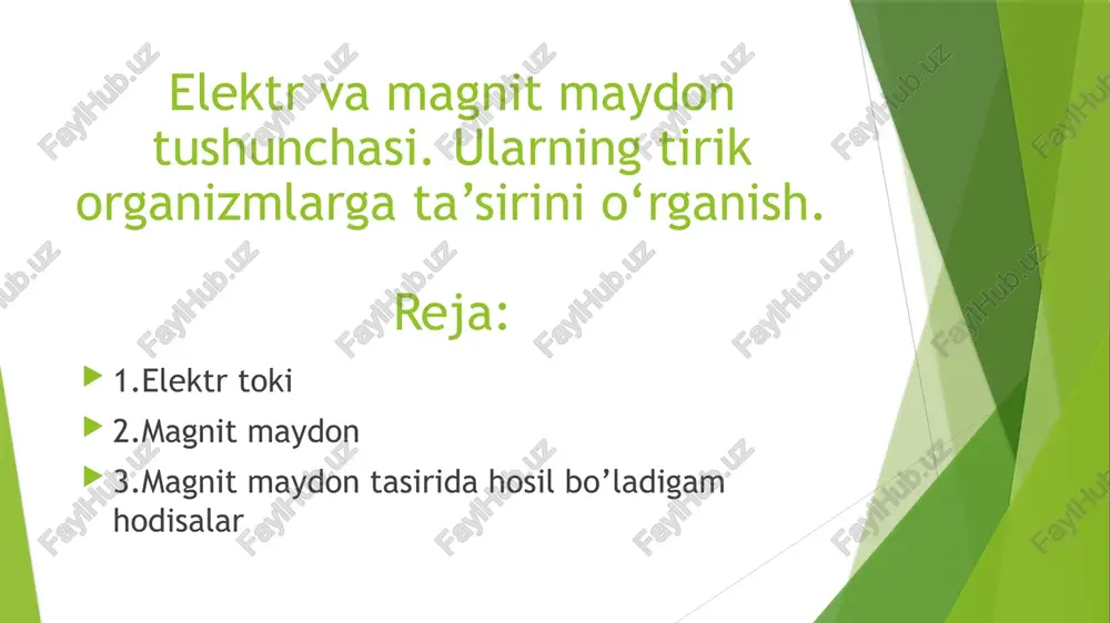 elektrvamagnitmaydontushunchasi — PPTX