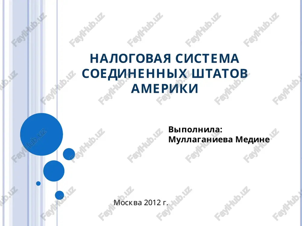 nalogovaya sistema soedinennix shtatov ameriki — PPT