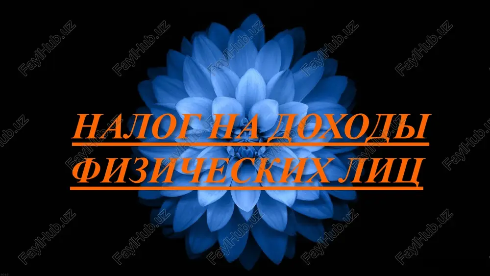 nalog na doxodi fizicheskix lits — PPTX