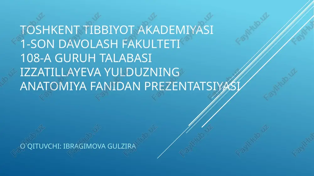 anatomiya fanidan prezentatsiyasi — PPTX
