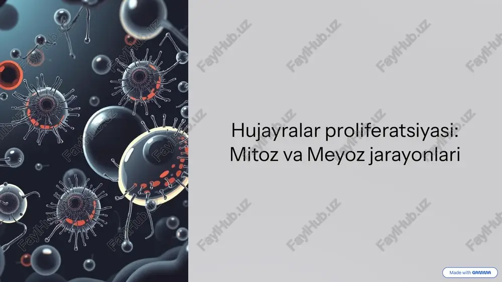 hujayralar proliferatsiyasi: mitoz va meyoz jarayonlari — PPTX
