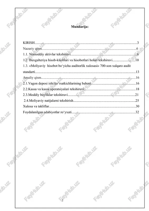 moliyaviy hisobot bo‘yicha auditorlik xulosasi — DOCX