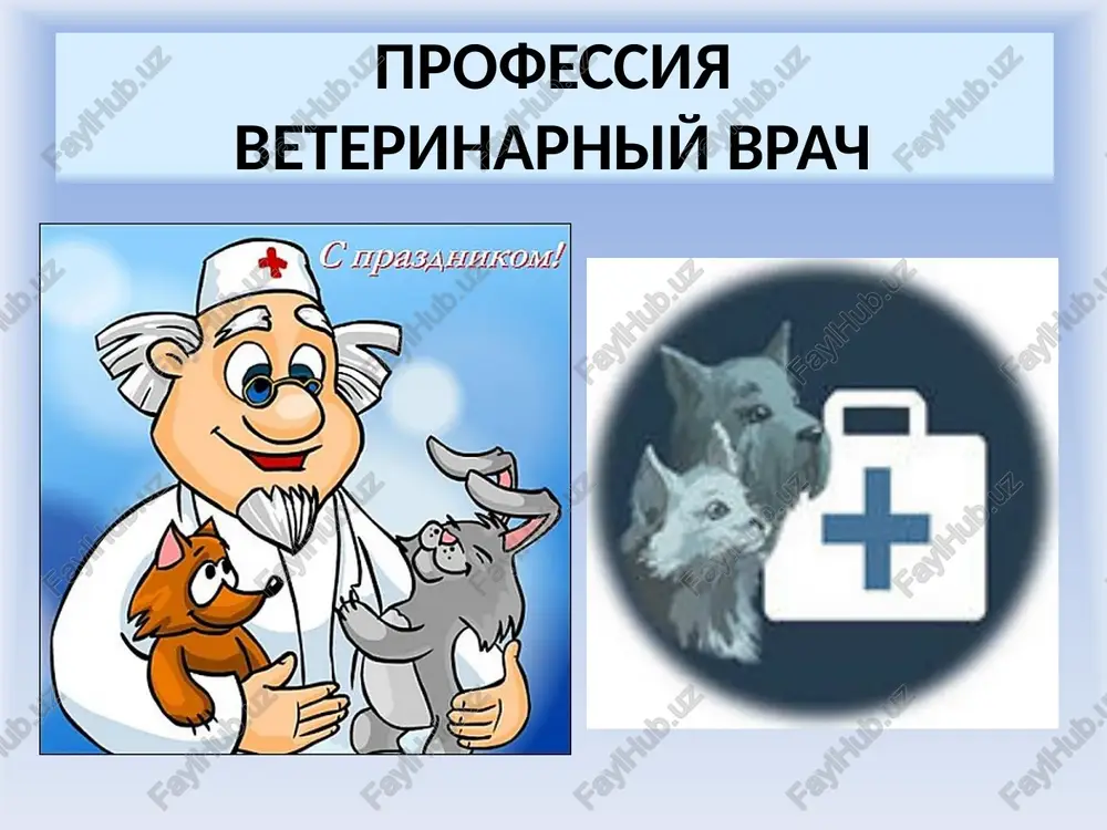 veterinarniy vrach — PPTX