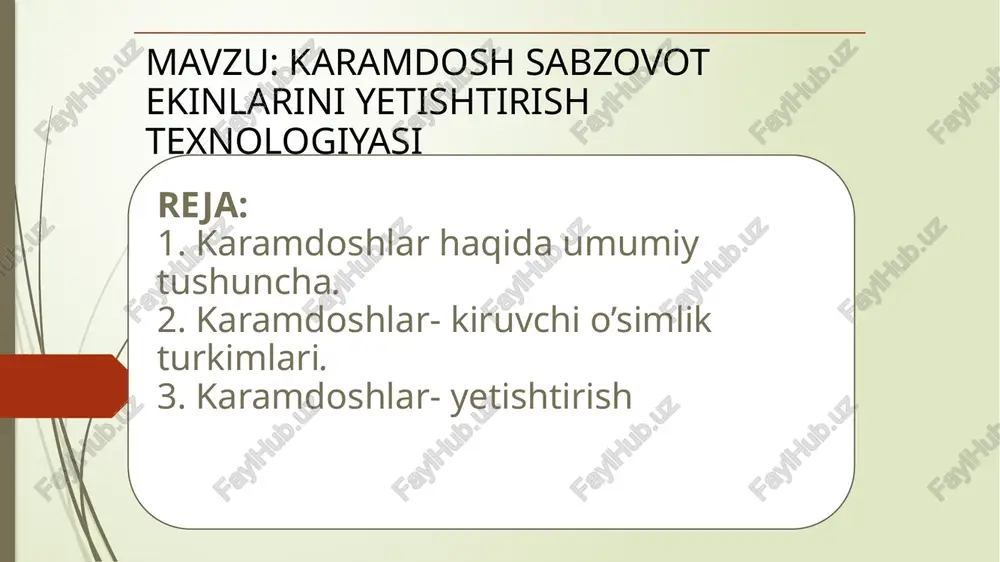 gulnazariyasi — PPTX
