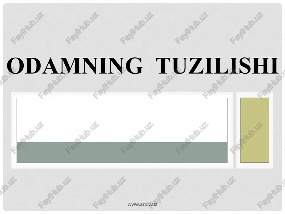 odamning tuzilishi — PPT