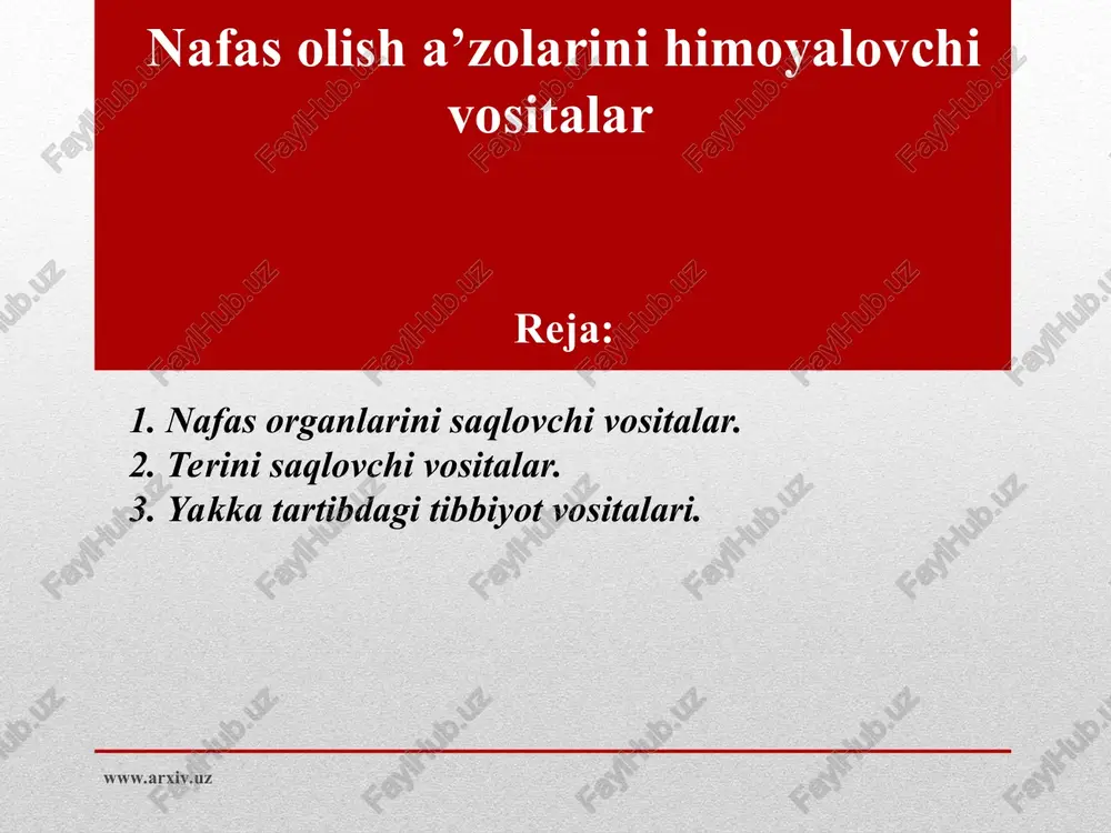 nafas organlarini saqlovchi vositalar — PPT