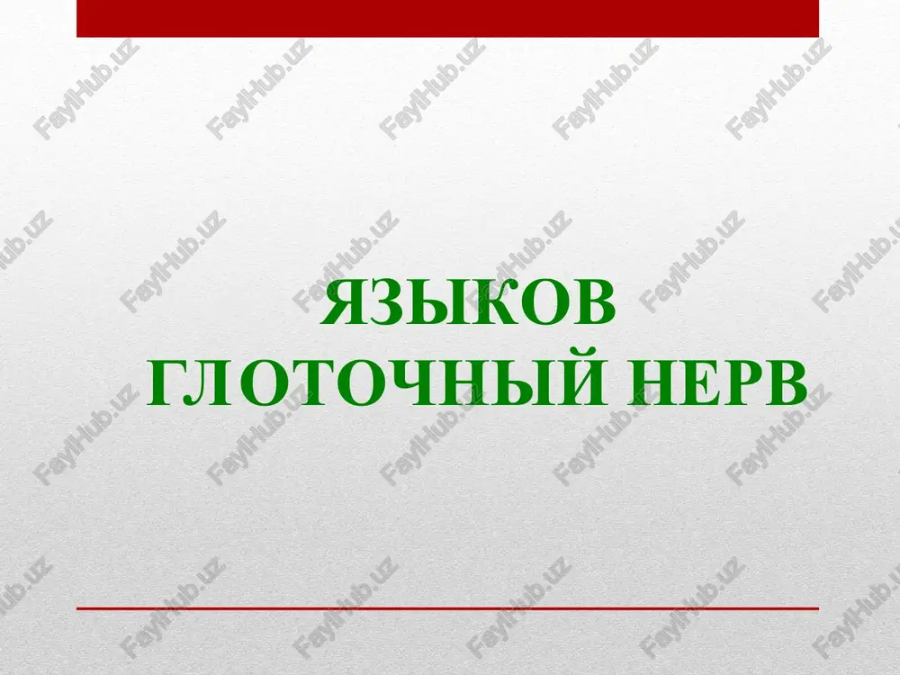 yazikoglotochniy nerv — PPT