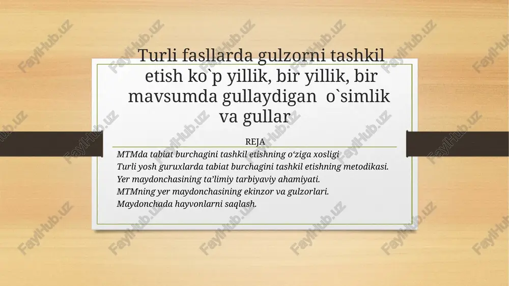 mtm databiat burchagini tashkilotish — PPTX