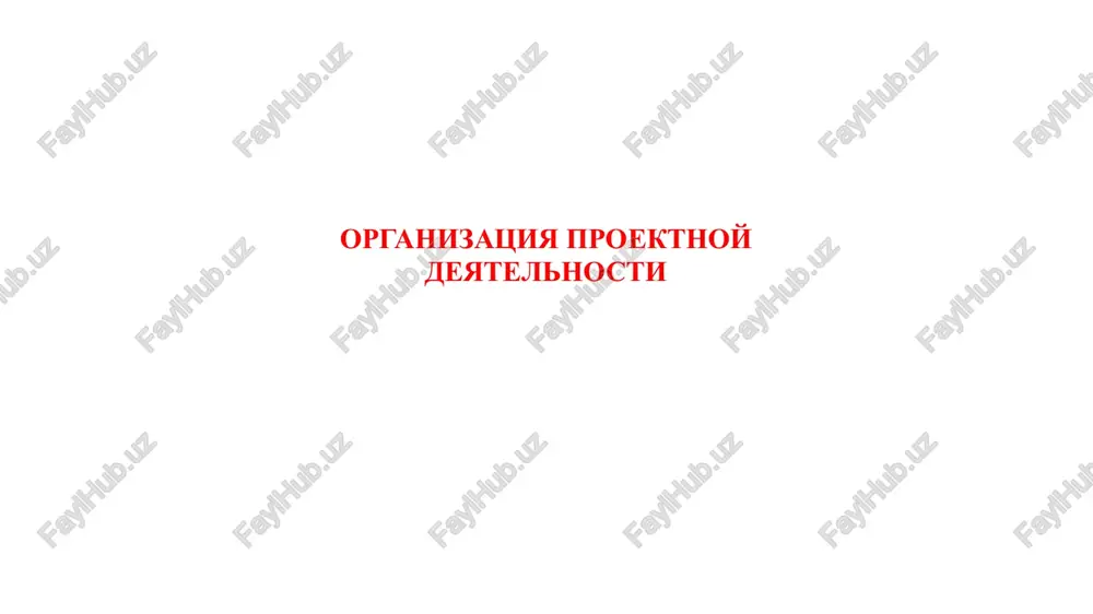 organizatsiya proektnoy deyatelnosti — PPTX