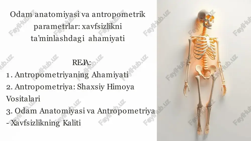 odam anatomiyasi va antropometriya — PPTX