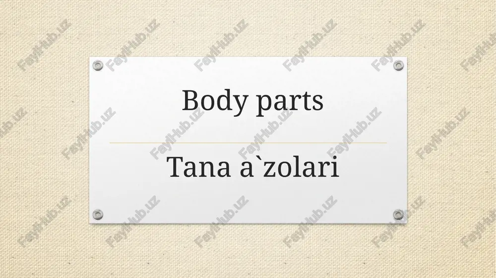 body partstanaa`zolari — PPTX