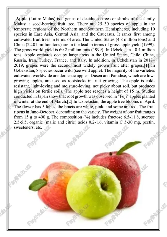 apple (malus) — DOCX