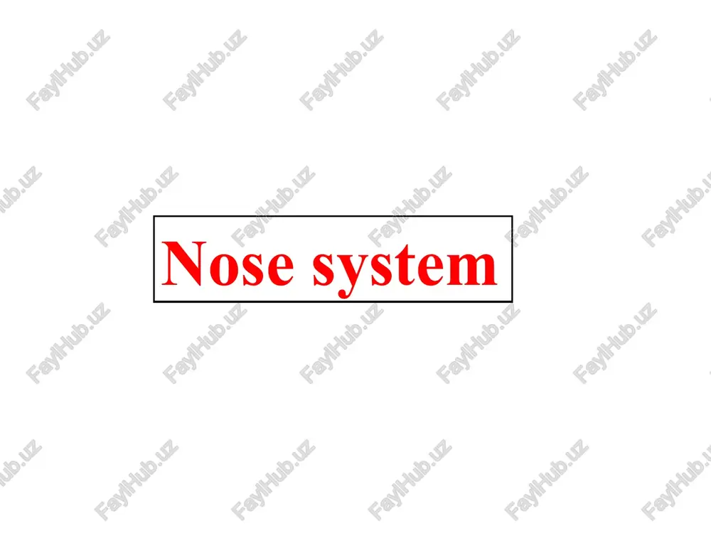 nose system — PPT