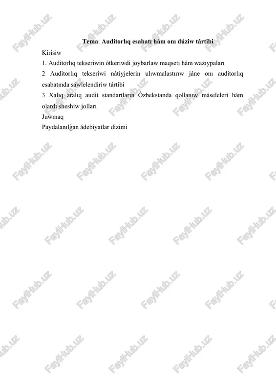 auditorlıq esabatı hám onı dúziw tártibi — DOCX