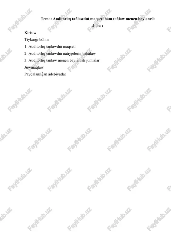 auditorlıq tańlaw — DOCX