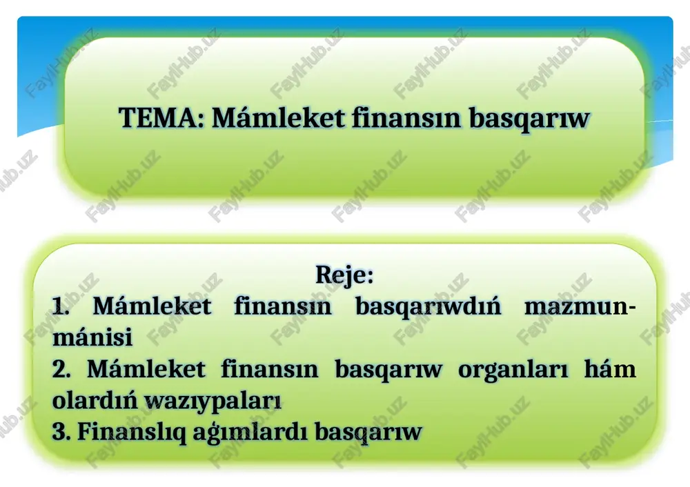 mámleket finansınbasqarıw — PPTX